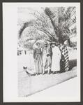 [Military] Photograph of Soldier and Two Women Under Canary Island date palm