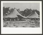 [Military] Photograph of Cavalry Tents with U.S. Flags