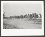 [Military] Photograph of U.S. Army 14th Cavalry