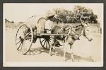[Rio Grande Valley] Postcard of Water Peddler on the Mexican Border
