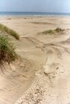 [South Padre Island Beach] Photograph of beach erosion - 05