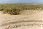 [South Padre Island Beach] Photograph of beach erosion - 12