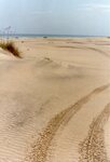 [South Padre Island Beach] Photograph of beach erosion - 13