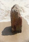 [South Padre Island Beach] Photograph of beach erosion - 14