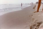 [South Padre Island Beach] Photograph of beach erosion - 30