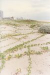 [South Padre Island Beach] Photograph of beach erosion - 34