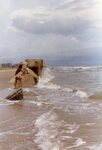 [South Padre Island Beach] Photograph of beach erosion - 53