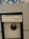 Zachary Taylor political campaign button
