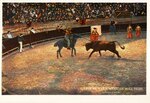 Postcard, Matamoros - Suerte de Vara, Mexican bull fight by Curt Teich & Co. and Robert Runyon