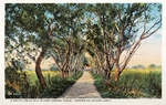 Postcard, Brownsville - Brownsville National Cemetery entrance by Curt Teich & Co. and Robert Runyon