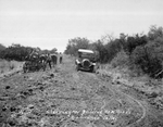 Photograph of clearing and building new roads - Rio Grande Valley by Edrington Studio (Weslaco, Tex.)