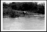 Photograph of a man on edge of flooded river