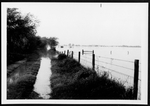 Photograph of a flooded field