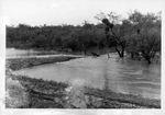 Photograph of a flooded area