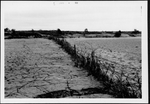 Photograph of a field after water receded