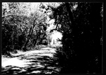 Photograph of a shaded path