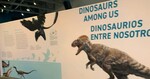 Photograph of "Dinosaurs Among Us"/"Dinosaurios entre nosotros" Exhibit by Sara E. Azua and Laura Lamb