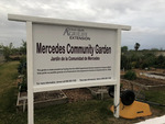 Photograph of Mercedes Community Garden by Sara E. Azua and Yaritza Marin