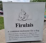 Photograph of Firulais definición Art Installation by Sara E. Azua and Zoraya Berlanga