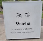Photograph of Wacha definición Art Installation by Sara E. Azua and Zoraya Berlanga