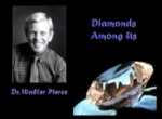 Diamonds Among Us - Walter "Wally" Pierce - 2003 by University of Texas at Brownsville and Texas Southmost College
