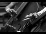Scorpion Tales: The Skinner String Project: Performs at 
