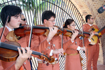 [20th Anniversary] Photograph of UTB/TSC 20th Anniversary Celebration - 34 by University of Texas at Brownsville