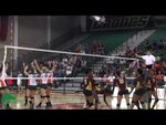 The Pan American - Bronc Volleyball UTPA vs HTU