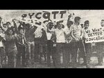 They Called Us Rebels: The 1968 Edcouch-Elsa Walkout
