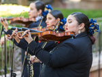 [Commencement] Photograph of Commencement 2018 Spring - 0035 by The University of Texas Rio Grande Valley. University Marketing and Communications and David Pike